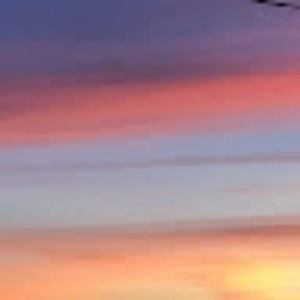 Meet your Posher, Jaime